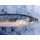 Kopie von Food-United Makrelenfilets ohne Haut und Gr&auml;ten 3 Dosen F&uuml;llm 125g FEW 88g