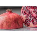 Food-United GRANATAPFEL P&Uuml;REE Grapefruit-Frucht-P&uuml;ree von Ponthier 4x 1KG