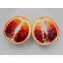 Food-United BLUT-ORANGEN SANGUINE P&Uuml;REE Frucht-P&uuml;ree von Ponthier 4x 1KG