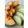 Food-United MELONEN P&Uuml;REE Melon-du-Quercy-Frucht-P&uuml;ree von Ponthier 6x 1KG