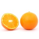 Food-United ORANGE-VALENCIA P&Uuml;REE Zitrus-Frucht-P&uuml;ree von Ponthier 12x 1KG