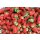 Rote Fr&uuml;chte P&Uuml;REE Frucht-Mark-P&uuml;ree von Ponthier 2x 1KG