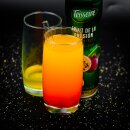TEISSEIRE Passionsfrucht Frucht-Sirup 2x 600ml Maracujasirup Syrop Sirop
