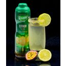 TEISSEIRE Zitrone Frucht-Sirup 6x  600ml Lemon Citron Syrop Sirop