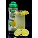 TEISSEIRE 0% sugar Syrop Sirop zuckerfrei Limette Zitrone Frucht-Sirup 2x 600ml