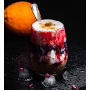 VITAVEGGY Blutorangen-Frucht-P&uuml;ree 2x1kg Smoothie Saft Cocktail Shake M&uuml;sli