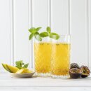 MARACUJA-SIRUP Passionfrucht-Sirup 12x1L FABBRI Mixybar Plus f&uuml;r Cocktails Smoothie